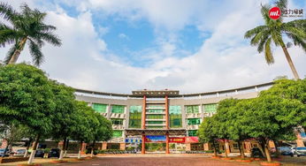 增城電大,我回來了