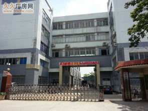 電大 配套齊全 約3000平方標準廠 番禺南沙東涌