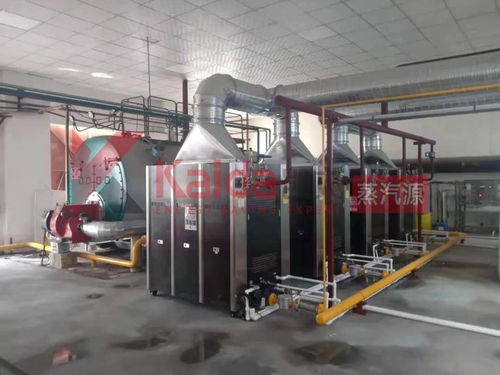 真低氮選凱大 食品廠4臺(tái)1t超低氮變頻蒸汽源機(jī)組完美替換4t傳統(tǒng)燃?xì)忮仩t