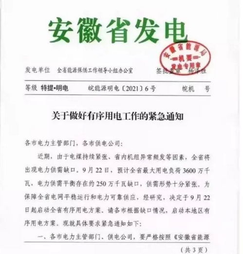 拉閘限電帶來涉農新問題 部分企業買來發電機 隨時待命