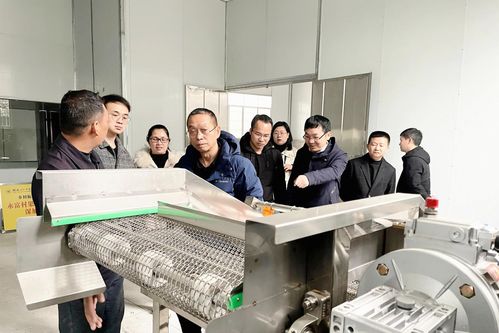 鄉村振興，材料先行——桂林理工大學材料科學與工程學院的使命與擔當